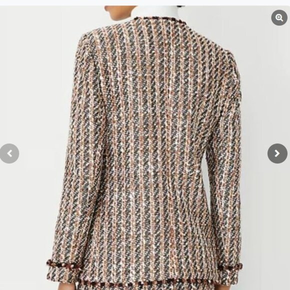 Ann Taylor Metallic Fringe Tweed Blazer Jacket Brown Size 4 NWT - Picture 2 of 12